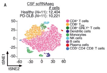 T cells in the cerebrospinal fluid of patients with neurodegenerative disease